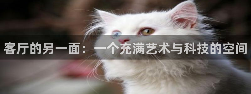 南瓜電影apk：客廳的另一面：一個充滿藝術與科技的空間