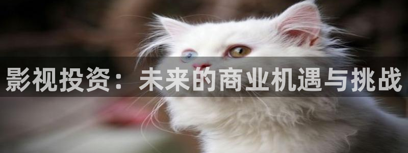 南瓜電影完整免費(fèi)觀看：影視投資：未來的商業(yè)機(jī)遇與挑戰(zhàn)