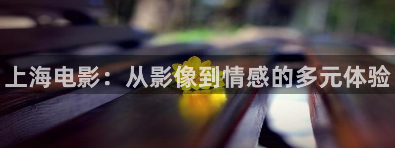 武威南瓜：上海電影：從影像到情感的多元體驗(yàn)