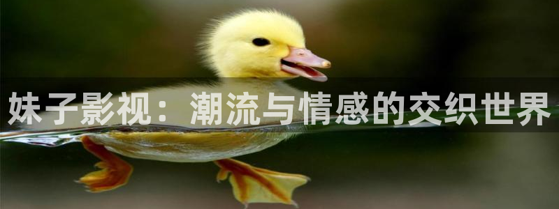 南瓜電影app下載